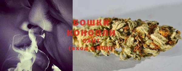 хмурый Медногорск