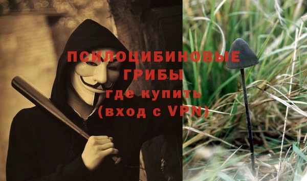 твердый Медвежьегорск