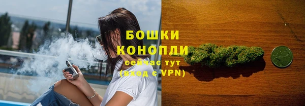 хмурый Медногорск